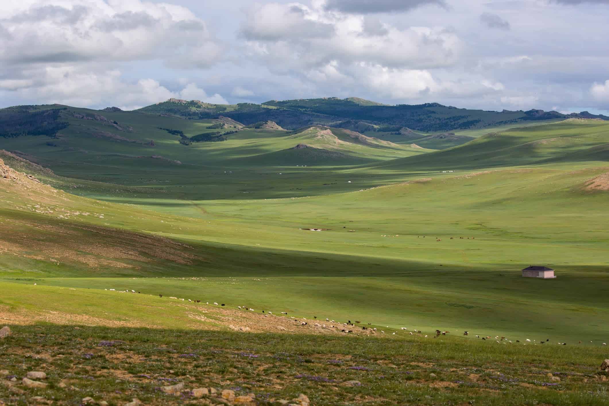Rolling green grassland under a wide open sky